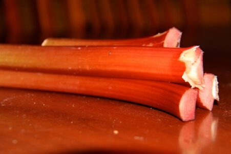 Rhubarb: Fruit or Vegetable Image